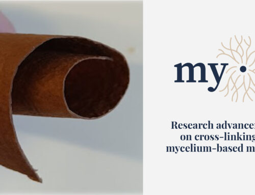 Research advancements on cross-linking for mycelium-based materials